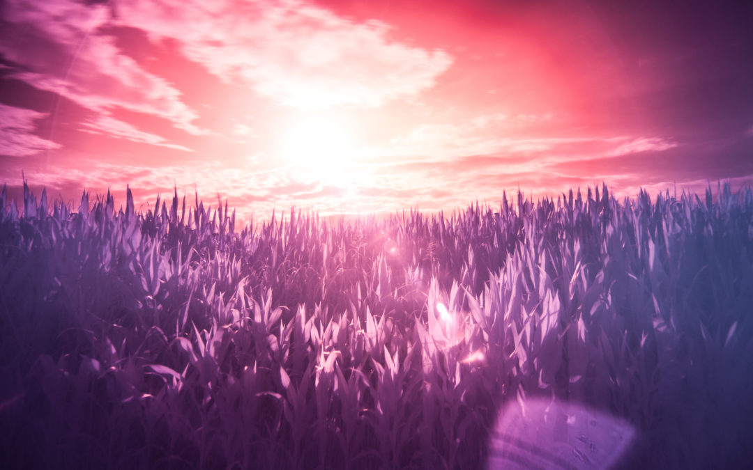 A worst part of a good day